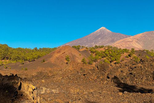 Blick zum Teide nahe dem Mirador de los Poleos von Alexander Wolff