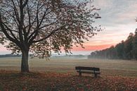 Sonnenaufgang im Herbst von Steffen Peters Miniaturansicht