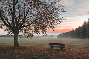 Sonnenaufgang im Herbst