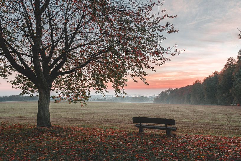 Sonnenaufgang im Herbst von Steffen Peters