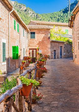 Spanien Mallorca, Straße in dem mediterranen Dorf Valldemossa von Alex Winter