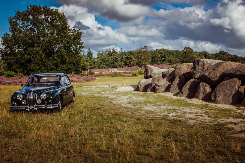 Jaguar 240 by Wolbert Erich