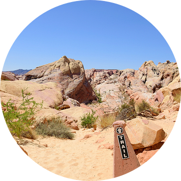 Te heet om te wandelen van Frank's Awesome Travels