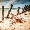 Strandpalen op Zanzibar van Marco Rutten