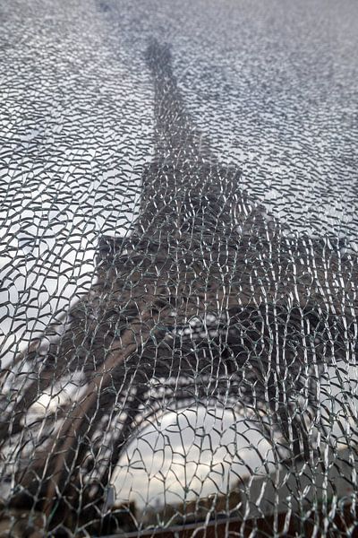 Shards of Paris par Jaap Tempelman