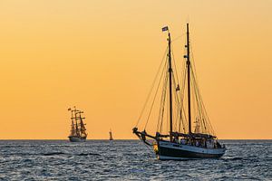 Segelschiffe im Sonnenuntergang auf der Hanse Sail in Rostock.
