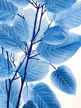 Blue leaves by haroulita