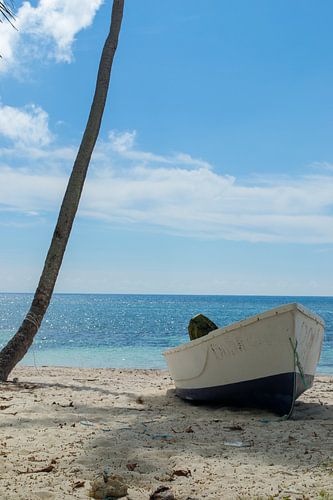 boot op het strand
