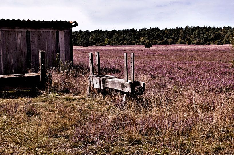 luneburger heide  van Groothuizen Foto Art