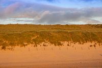 Duin bij zonsondergang