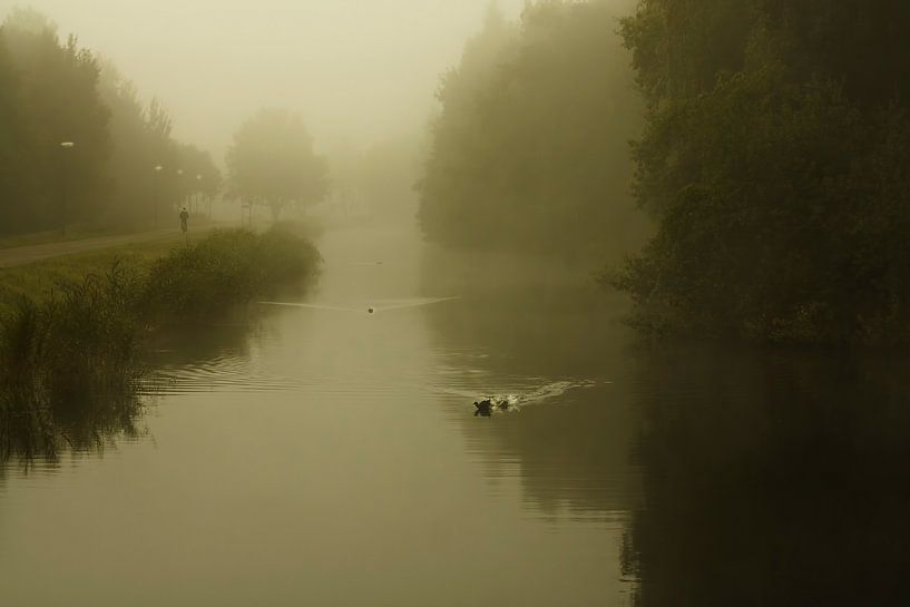 Misty Morning by sandra ten wolde