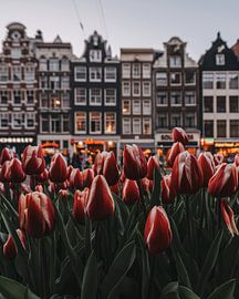 Vrolijke bloemen van Een Wasbeer