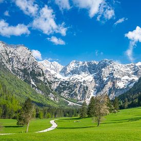Blick auf das Tal von Zgornje Jezersko im Frühling von Sjoerd van der Wal Fotografie