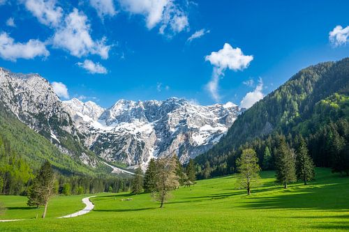 Alpen vallei in de lente in Slovenië