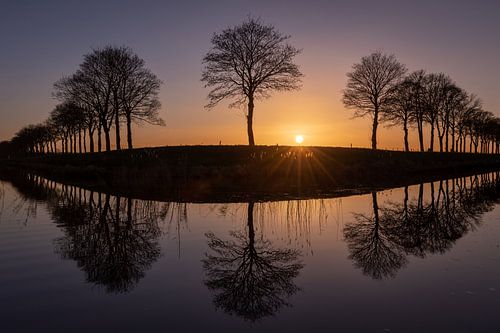 Bomen in een hoek gereflecteerd in het water