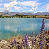Lake Ruataniwha / Nieuw - Zeeland van Shot it fotografie