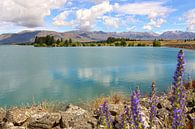 Lake Ruataniwha / Nieuw - Zeeland van Shot it fotografie thumbnail