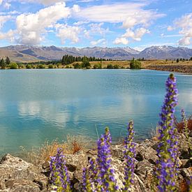 Ruataniwha, lac, Nouvelle-Zélande sur Shot it fotografie