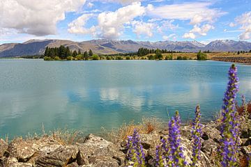 Lake Ruataniwha in New-Zealand by Shot it fotografie