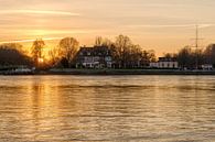 Goldener Sonnenuntergang am Rhein von Uwe Ulrich Grün Miniaturansicht