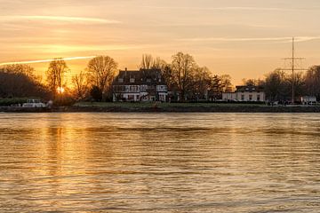 Coucher de soleil doré sur le Rhin