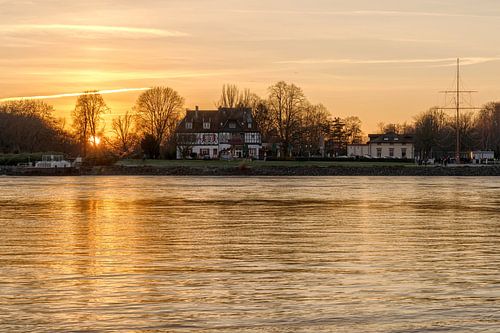 Goldener Sonnenuntergang am Rhein
