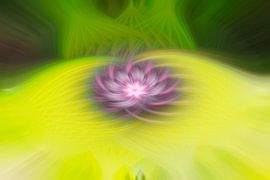 Flower - Abstract colour swirl by Steffen Peters