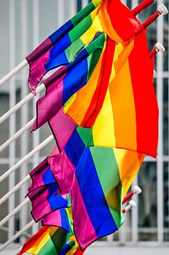 Regenboogvlaggen 2 van Frans Blok