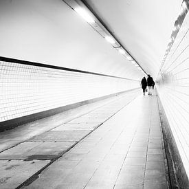 Blick in den Tunnel von photohodister