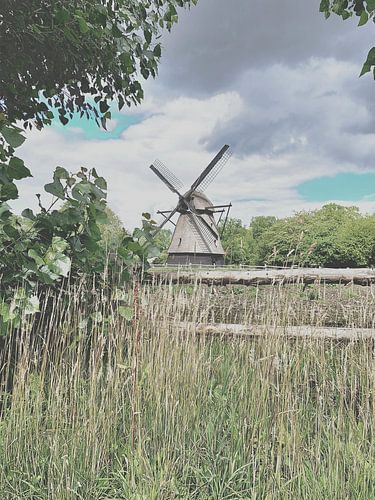 Elk najaar heeft zijn voorjaar