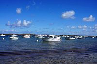 Boten op zee in Bretagne