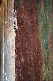 Peinture murale rustique sur bois peinte, œuvre d'art moderne sur Janina S.