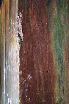 Rustic painted wooden wall, modern art mural