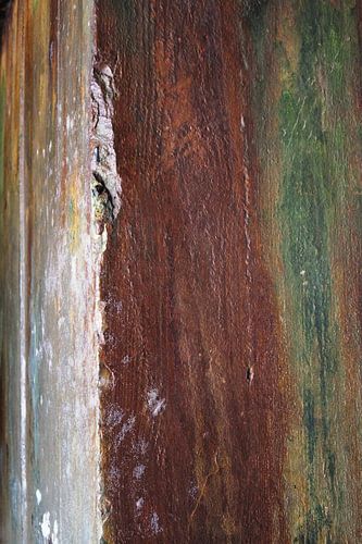 Peinture murale rustique sur bois peinte, œuvre d'art moderne