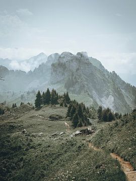 Schweizer Alpen von Teun de Leede