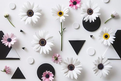 Gerbera