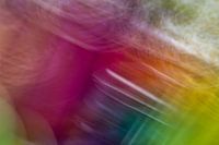 The colours of life