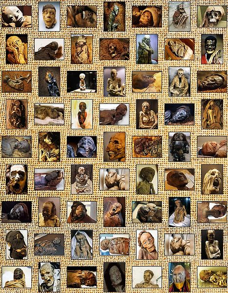 Mummies Have Found Around The World by Steven Kingsbury