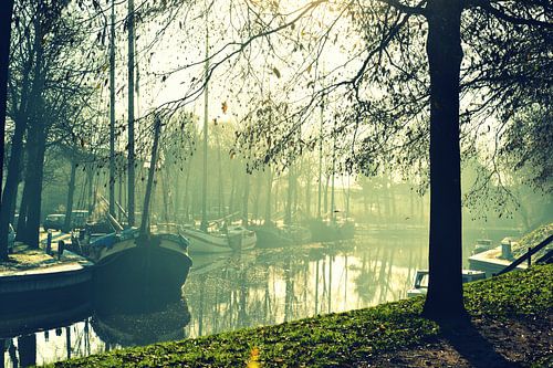 De Noordoostersingel in Harlingen in de mist