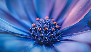 Blauw-paarse bloem macrofotografie panorama van TheXclusive Art
