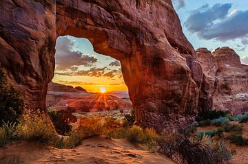 Pine Tree Arch von Denis Feiner