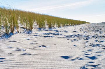 Op het Oostzeestrand met duinen van Martin Köbsch