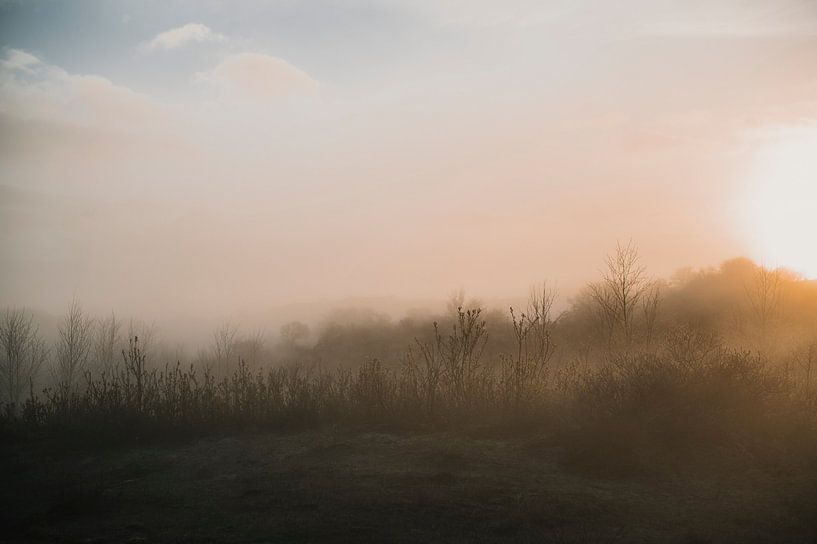 Lever de soleil brumeux dans les dunes aux Pays-Bas par Ayla Maagdenberg