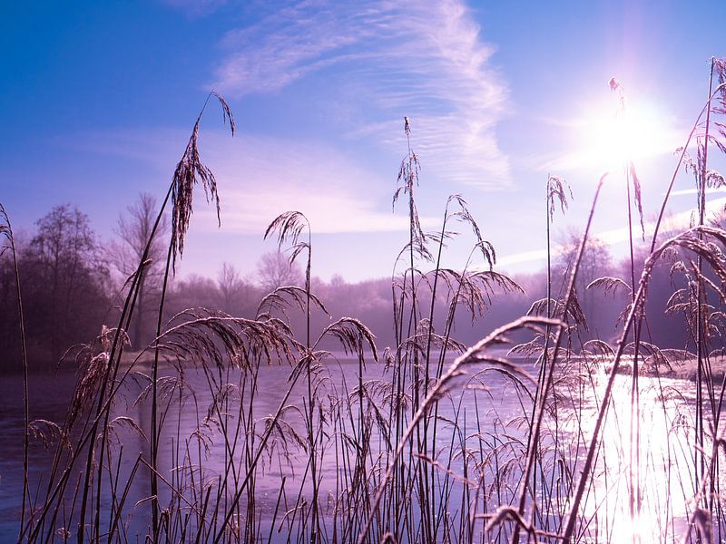 morning by snippefotografie