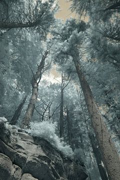 Vers la lumière sur Hidden Light Gallery