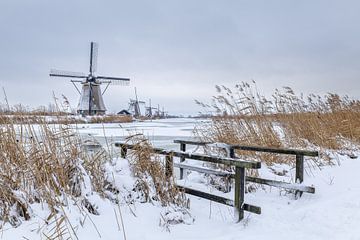 Mills world heritage site Kinderdijk in snow by Mark den Boer