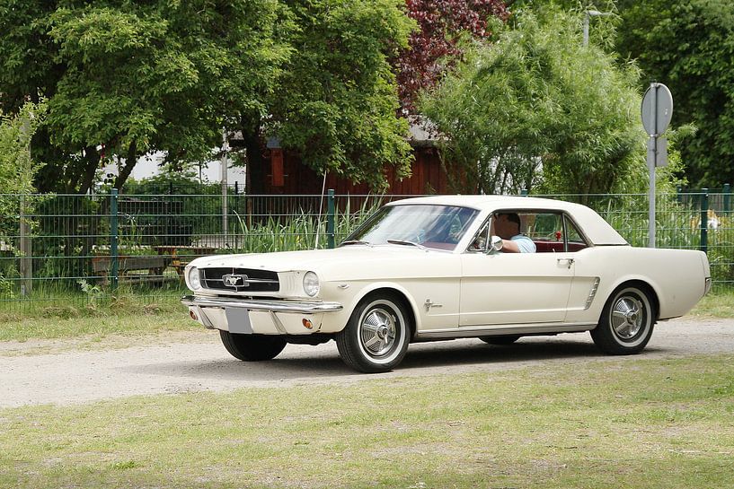 Ford Mustang by Anja Bagunk