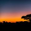 Sunrise near Mozambique by Rob Smit