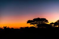 Zonsopkomst Mozambique