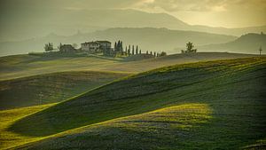 Between Light and Land - Tuscany